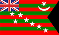 Indian Flag 1917
